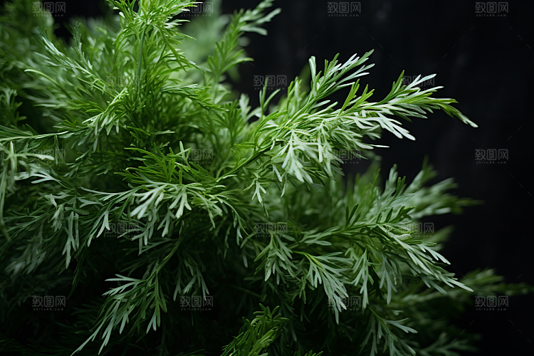 艾草传统文化美食摄影图
