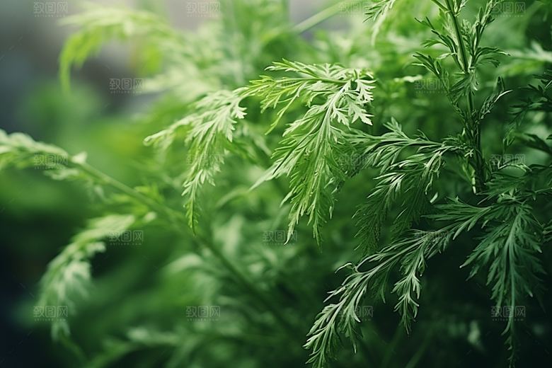 艾草糯叽叽美食摄影图