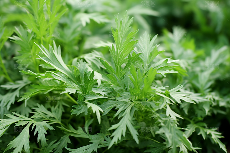 艾草糯米团中式糕点摄影图