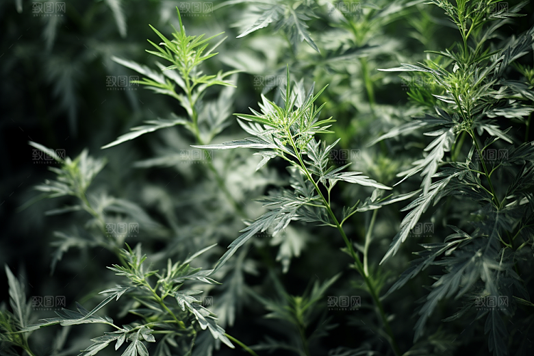 艾草青团糯叽叽摄影图