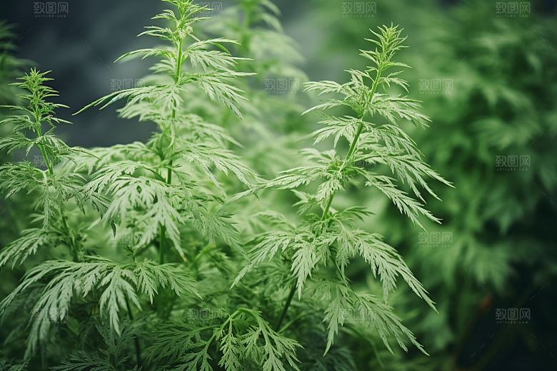 艾草青团糯叽叽摄影图