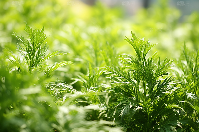 艾草糯米团高清摄影图