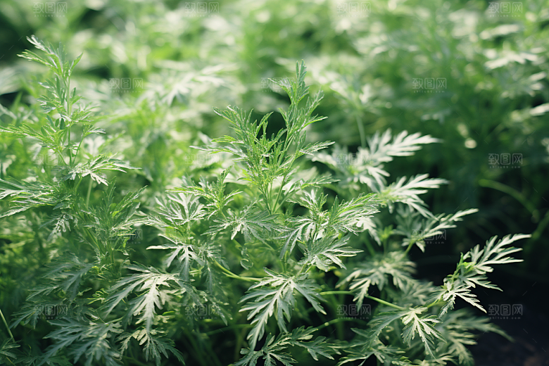 艾草中式糕点糯米团摄影图
