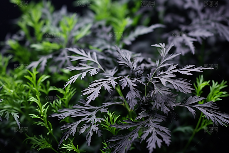 艾草糯叽叽中式糕点摄影图