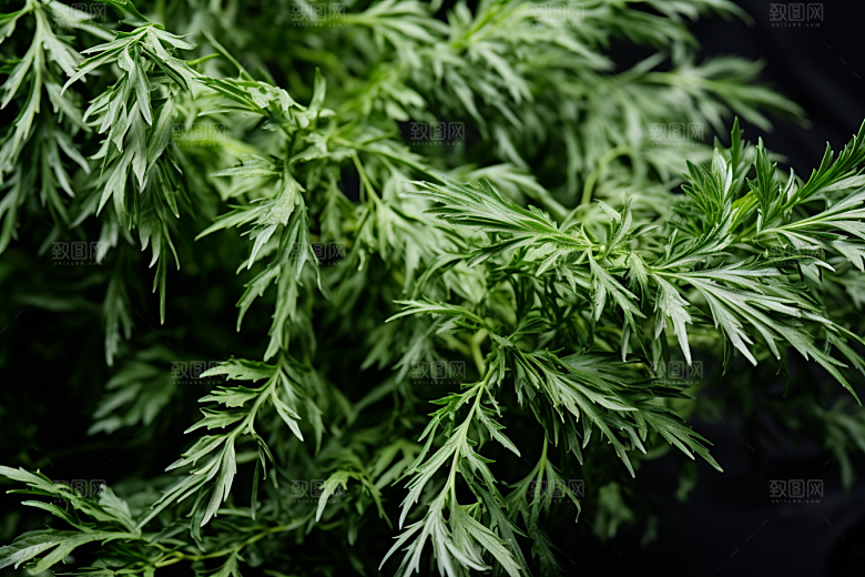 艾草糯叽叽糯米团摄影图