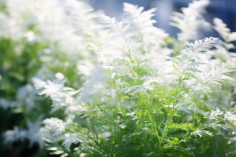 艾草蒿草糯米团摄影图