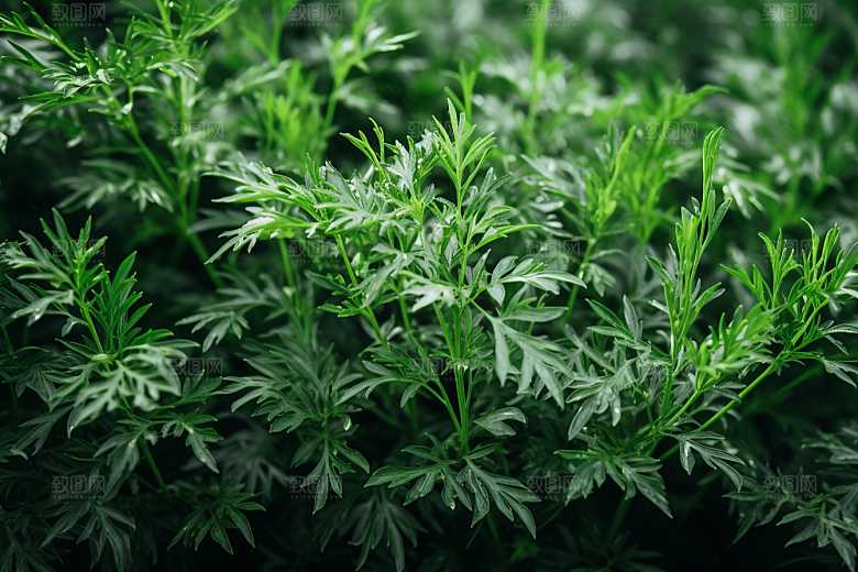 艾草美食中式糕点摄影图