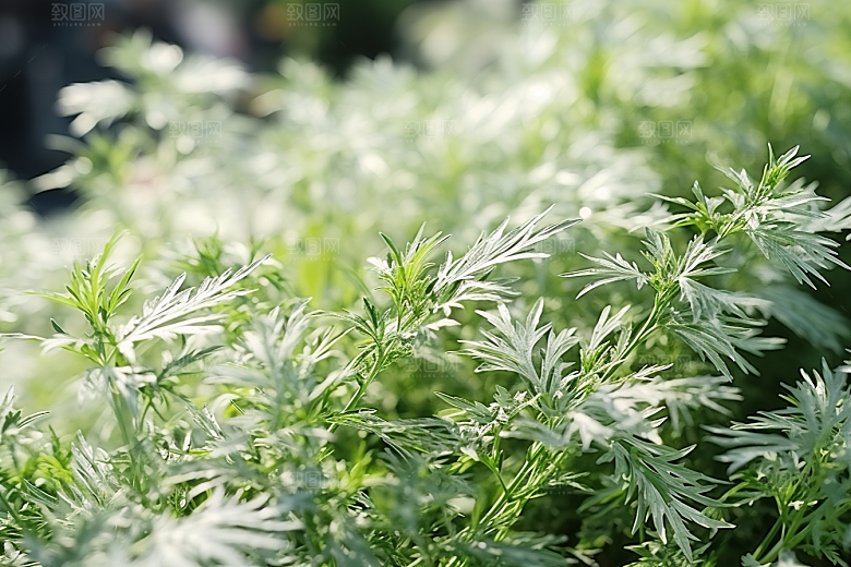 艾草中式糕点糯叽叽摄影图