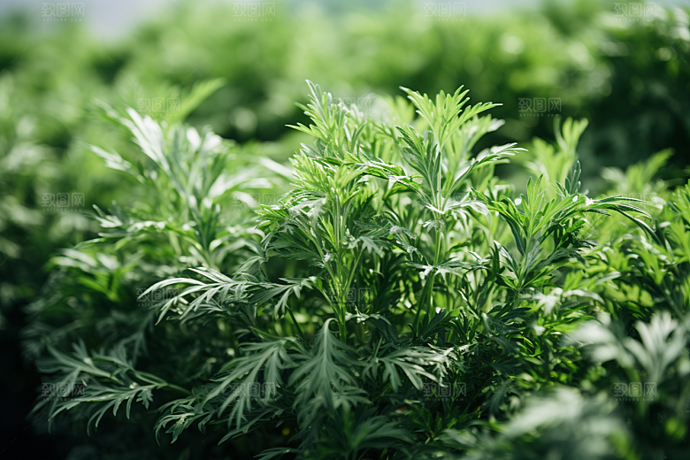艾草糯叽叽美食摄影图