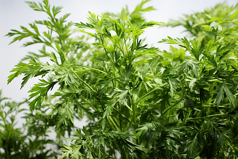 艾草糯米团青团摄影图