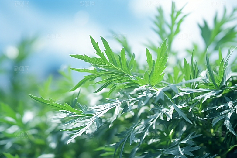 艾草糯米团高清摄影图