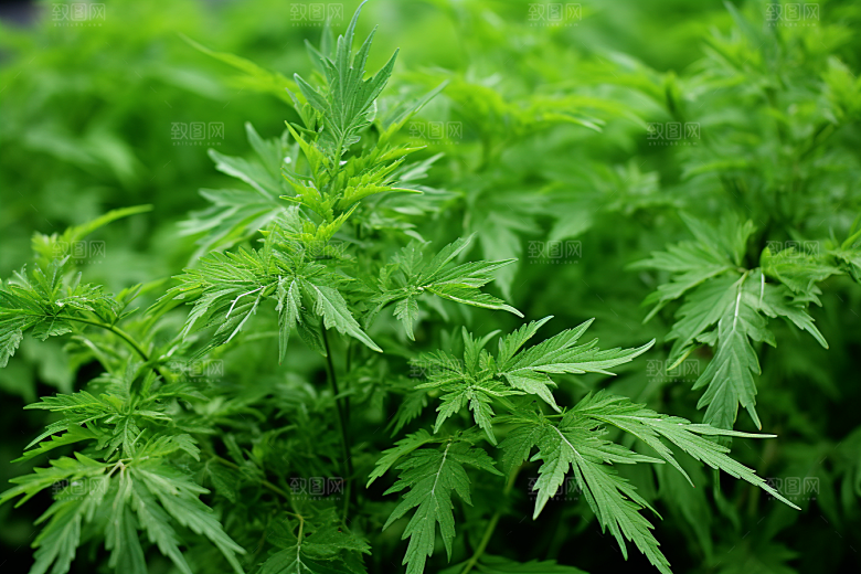 艾草糯叽叽美食摄影图