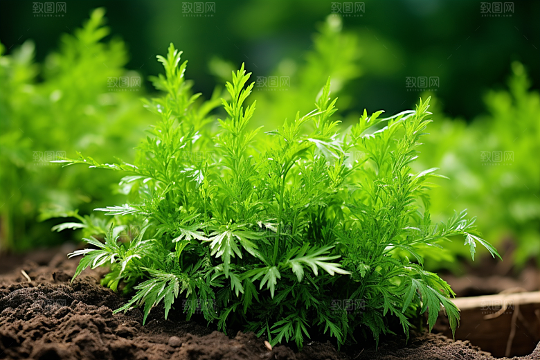 艾草中式糕点美食摄影图