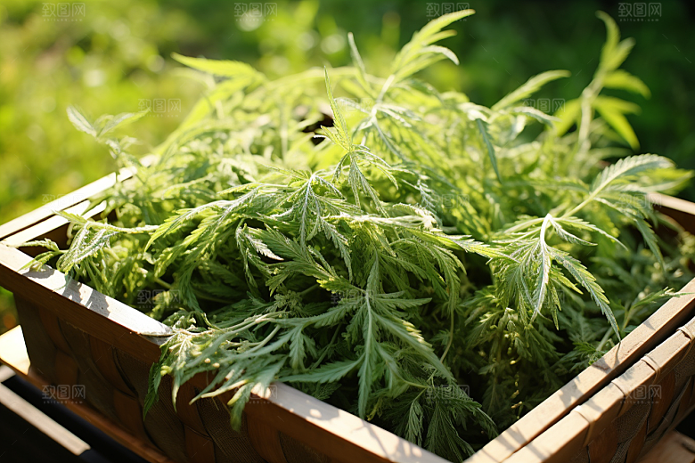 艾草美食糯米团摄影图