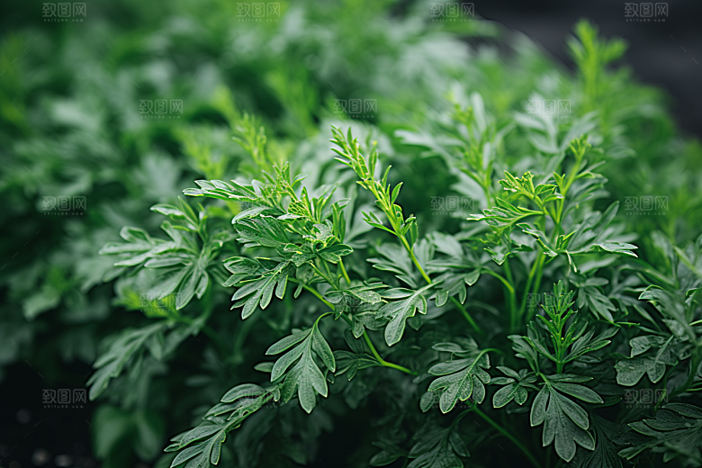 艾草糯米团传统文化摄影图