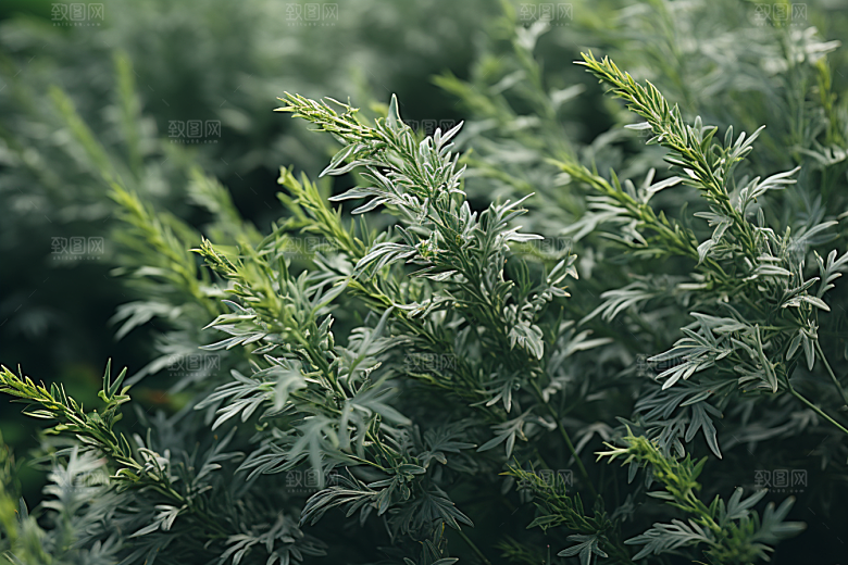 艾草青团美食摄影图