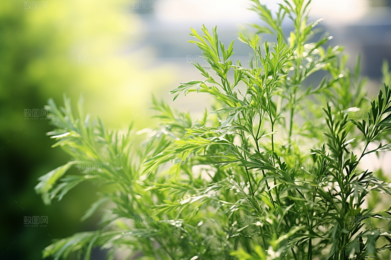 艾草糯米团糯叽叽摄影图