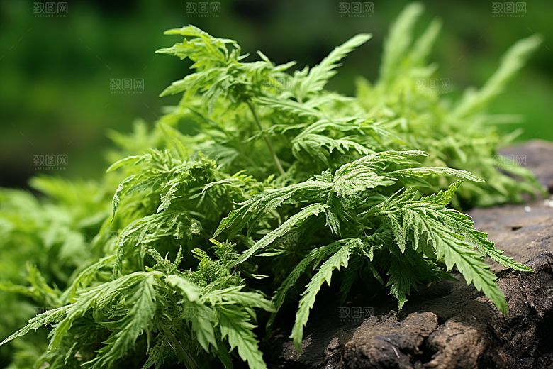 艾草清明糯叽叽摄影图