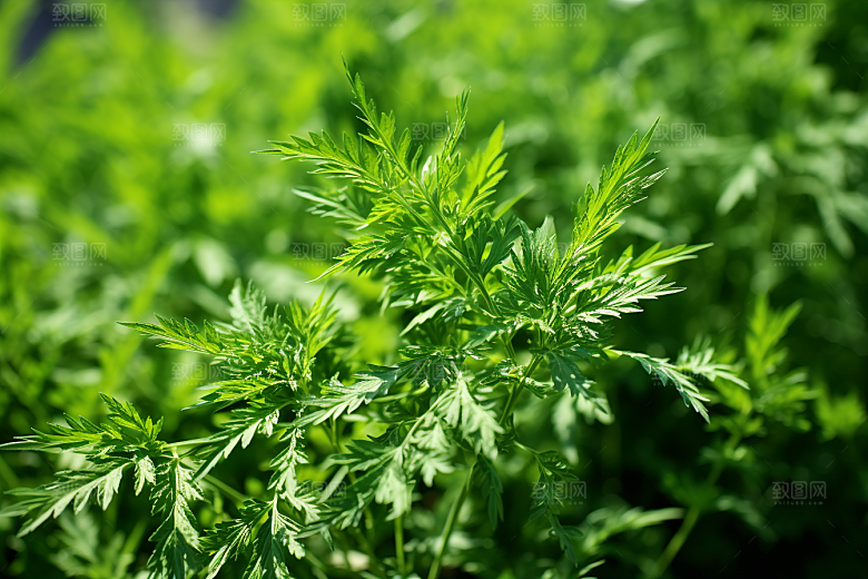 艾草美食糯米团摄影图