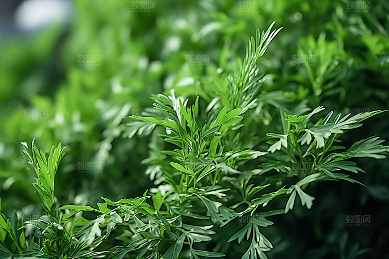 艾草中式糕点糯叽叽摄影图
