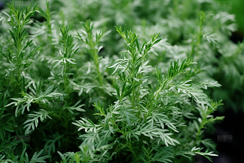 艾草艾叶中式糕点摄影图