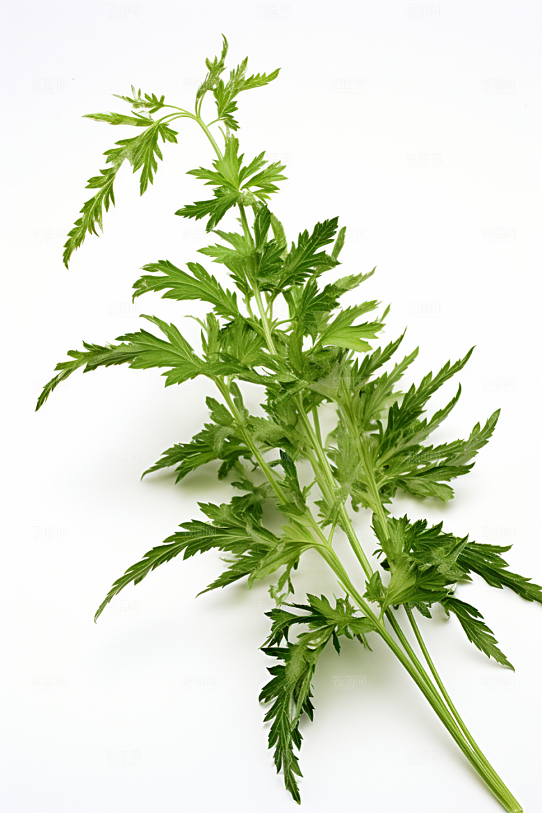艾草青团糯叽叽端午节摄影图