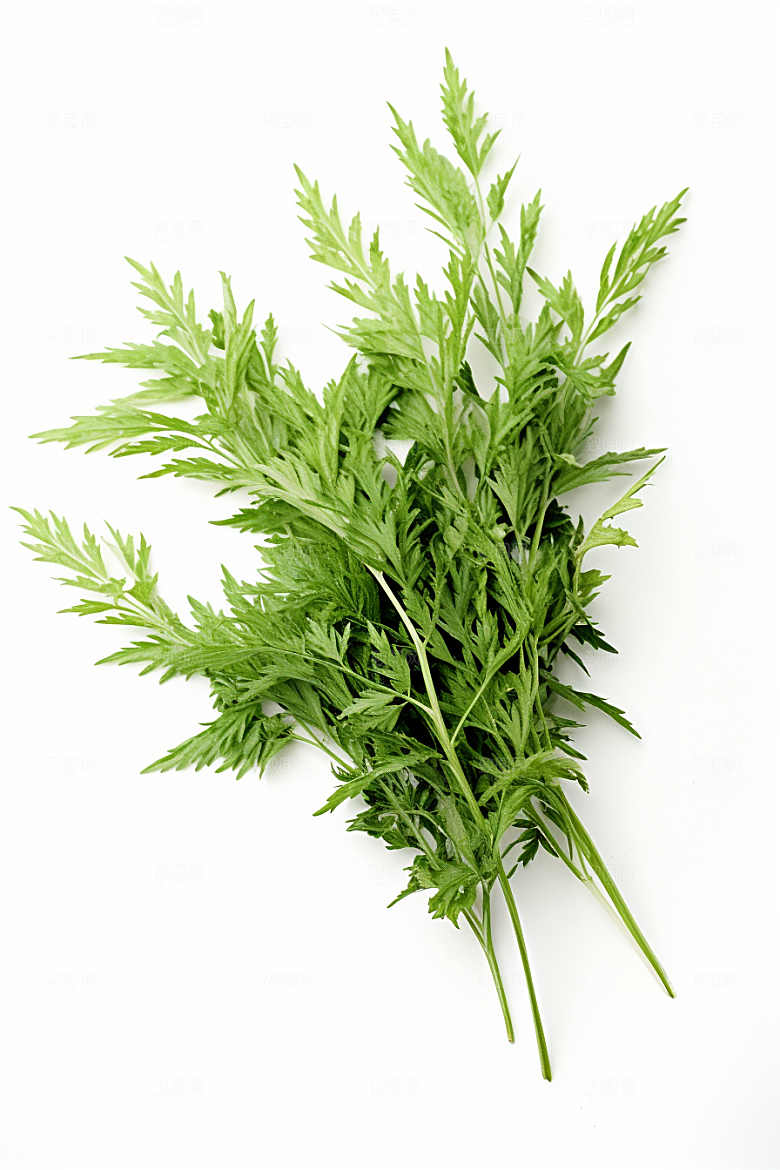 艾草青团端午节艾叶摄影图
