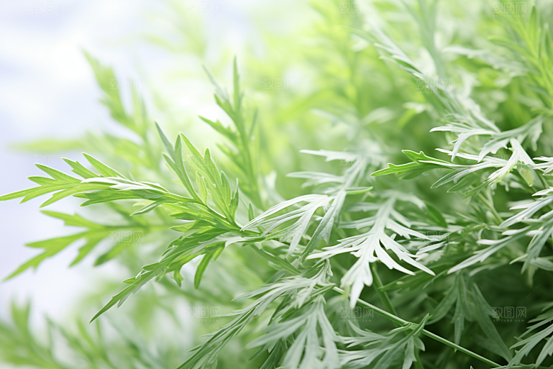 艾草青团艾叶糯叽叽摄影图