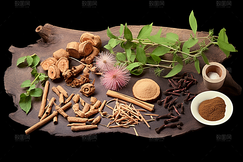 白术中药材保健插画