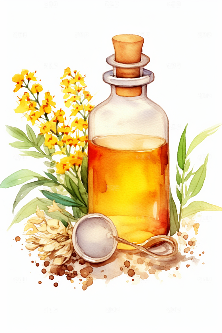 板蓝根保健药方插画