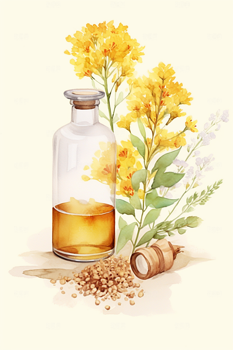 板蓝根中医手绘插画