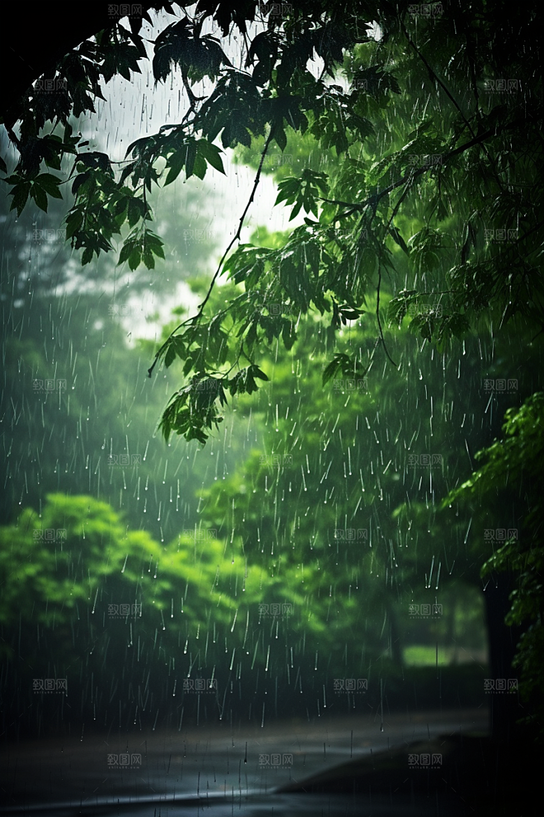 暴雨安静下雨摄影图