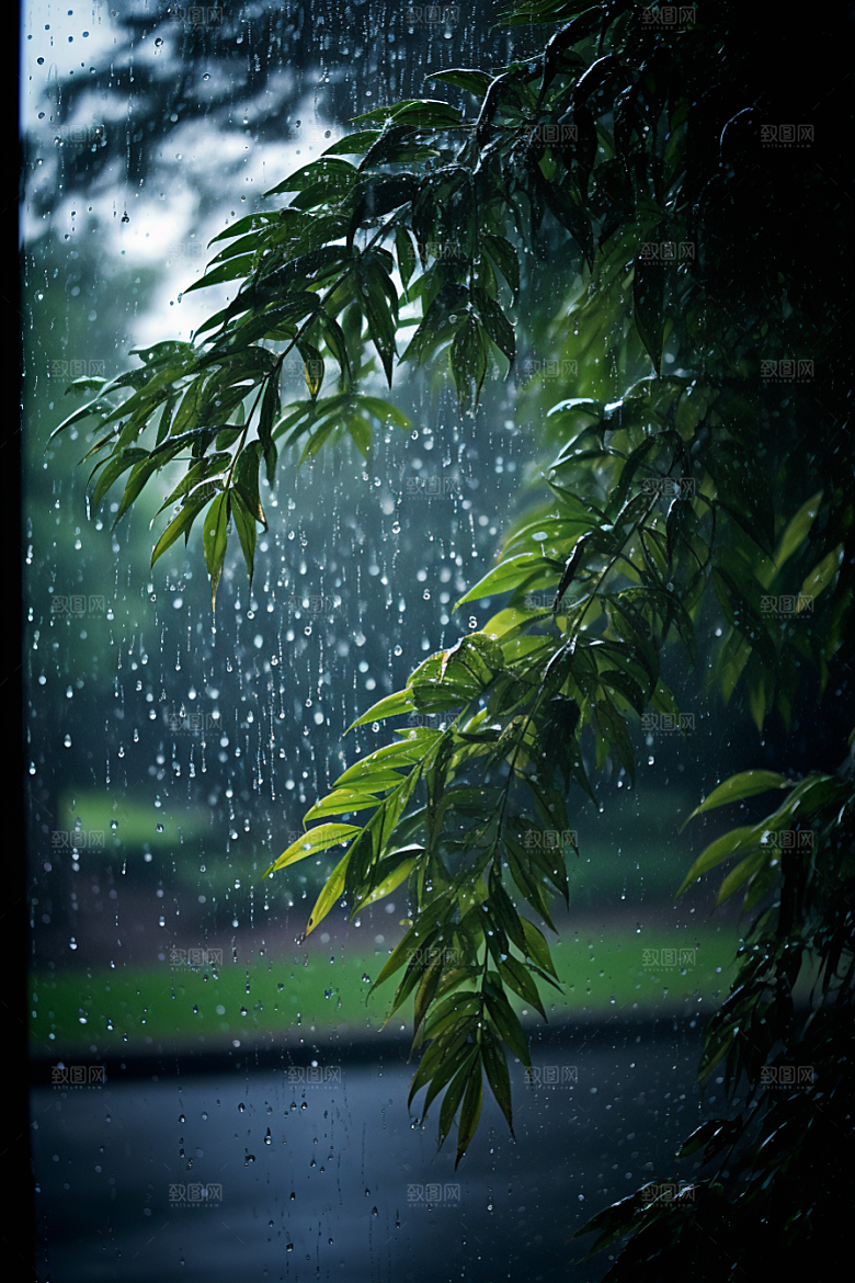 暴雨户外室外摄影图