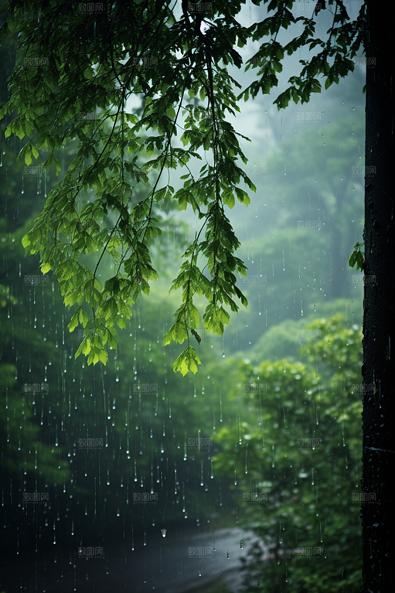暴雨安静环境摄影图