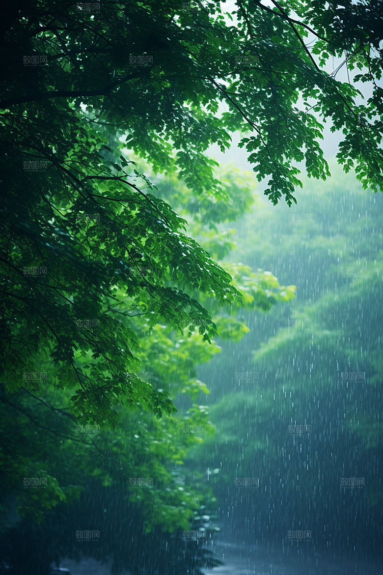 暴雨大雨安静摄影图
