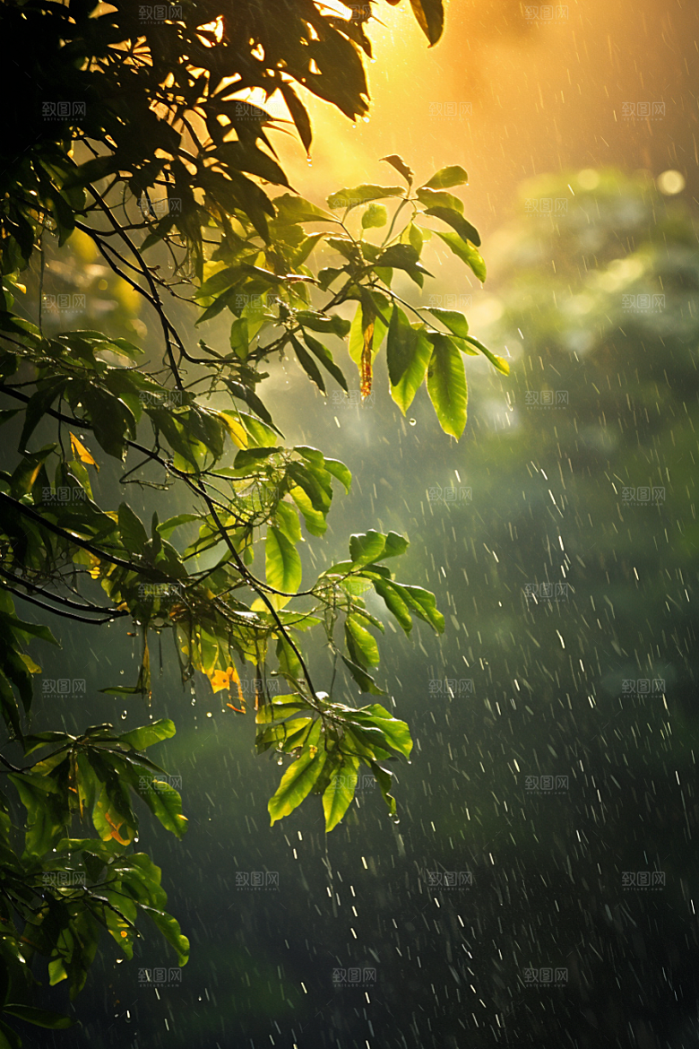 暴雨自然高清摄影图