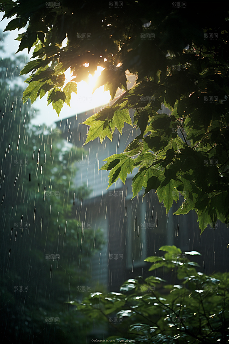 暴雨安静下雨摄影图