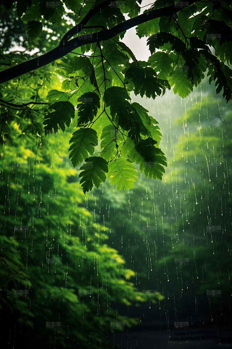 暴雨雨天安静摄影图