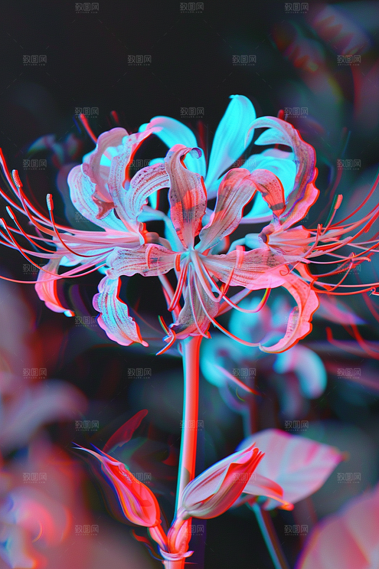 彼岸花自然忧伤素材