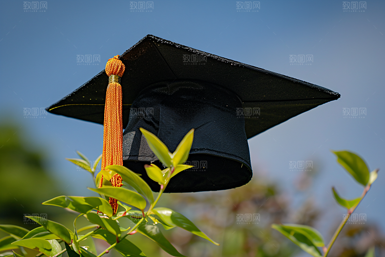 毕业证书青春阔别校园摄影图