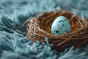 复活节彩蛋鸡蛋传统文化摄影图