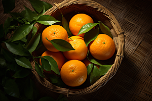 橙子采摘橘子美味摄影图