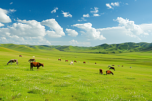 草原牧场绿色高清摄影图