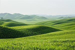 草原牧场旅游绿色摄影图