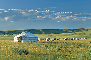 草原牧场绿草蓝天风吹草低见牛羊摄影图