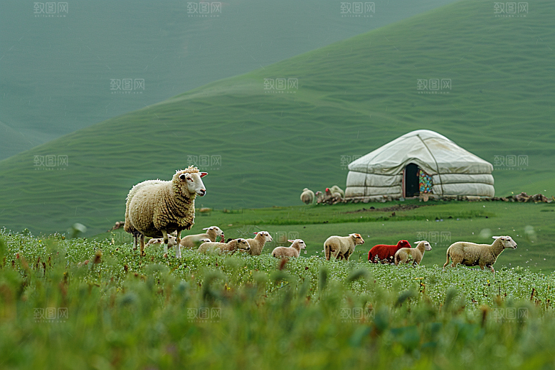 草原牧场高清内蒙古摄影图