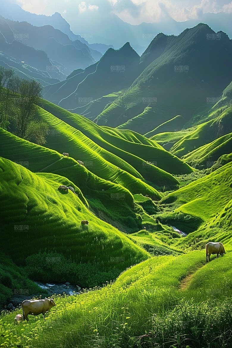 草原牧场高清风光摄影图