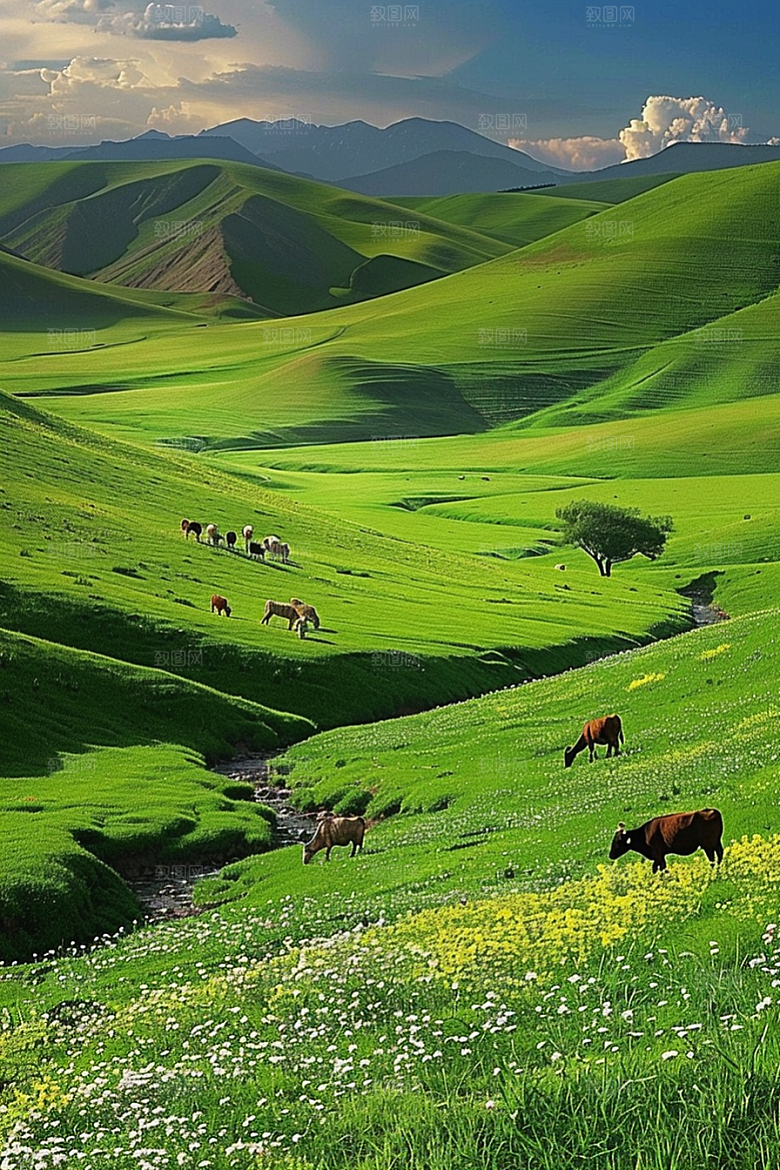 草原牧场旅游草场摄影图