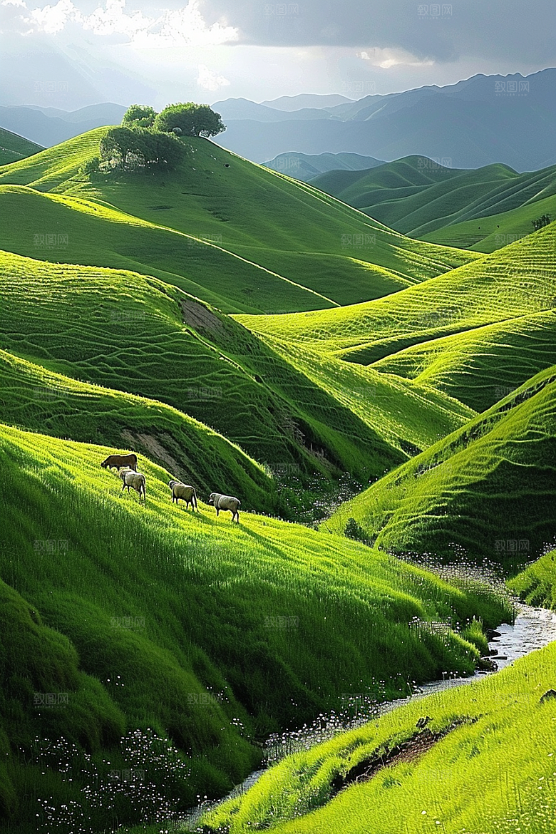 草原牧场大草原绿色摄影图