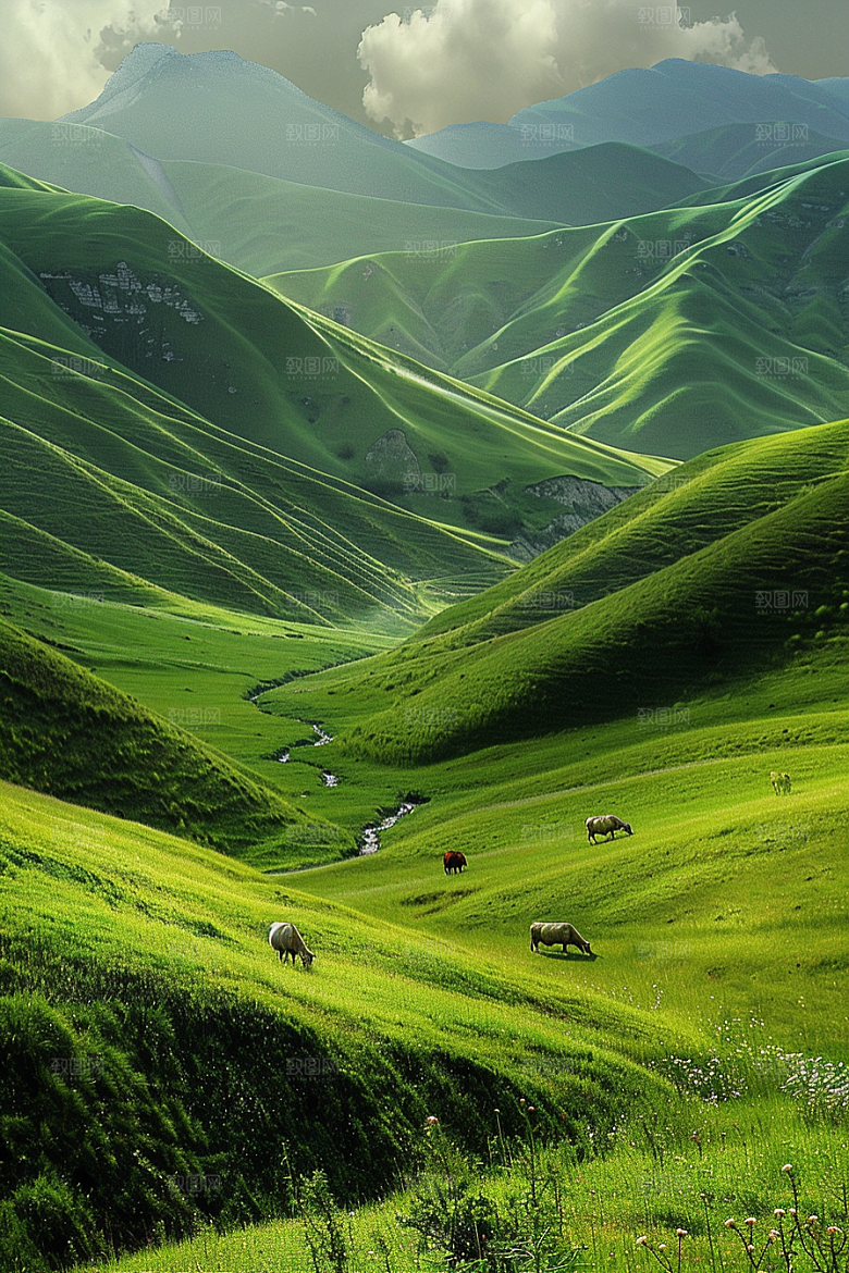 草原牧场旅游自然摄影图